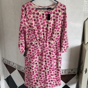 NWT Pretty in pink dress by The Limited